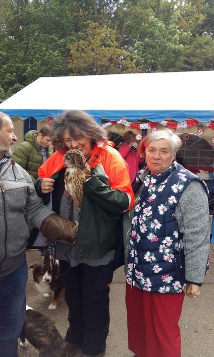 das kaeffchen am steinkreis